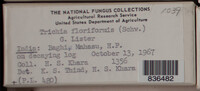 Image Associated With the Occurence